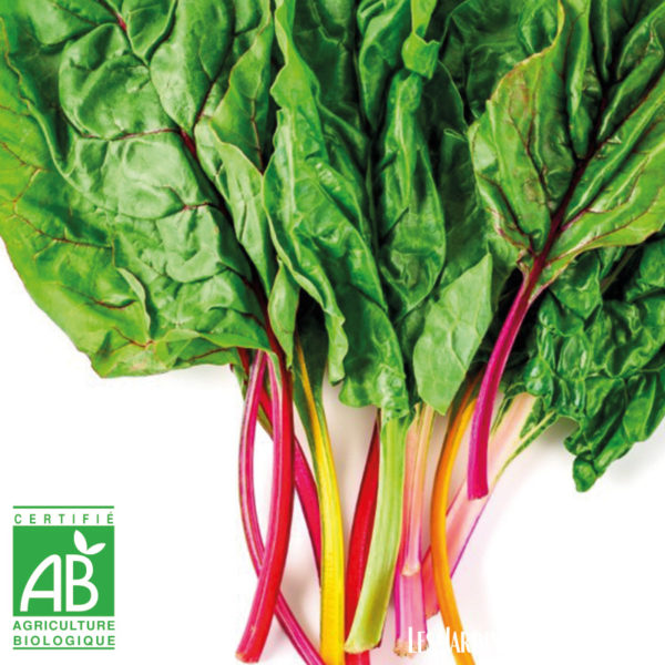 Blette de couleur cardes fines (500gr)