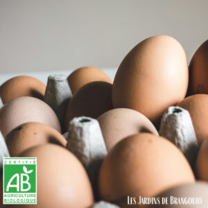 Oeufs de la ferme (boite de 6)
