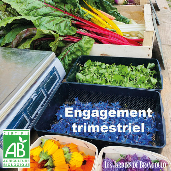 Panier militant de saison (engagement 3 mois)