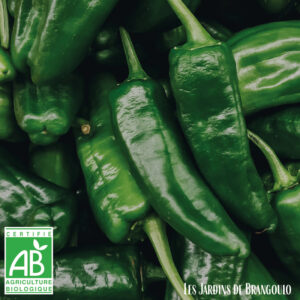 Poivrons verts (250gr)